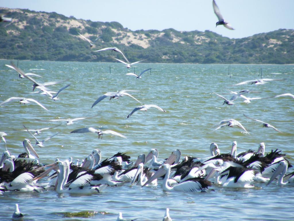 Coorong Waterfront Retreat Villa Meningie Luaran gambar